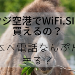 サウジアラビア空港でWiFi・SIMは購入可能なの？｜日本へ電話は何分話せる？