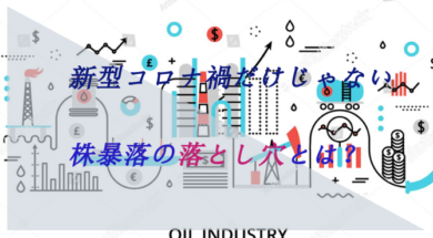 株価暴落の原因は新型コロナ禍だけじゃない 株暴落の落とし穴とは サウジアラビア旅行裏ガイドブック